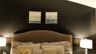 Flooring, Accent Walls, Shelving Units, Light Fixtures, and Tub Reglazing - a Recently Complted Project